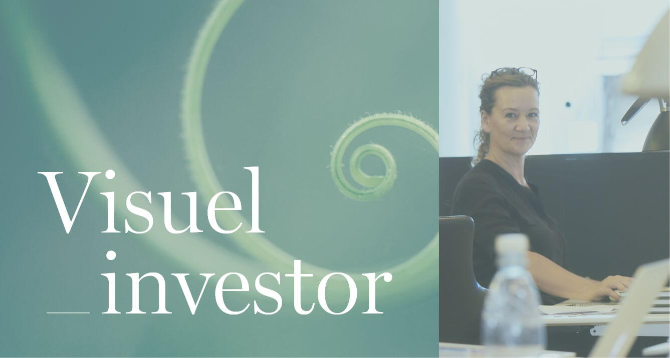 Visuel Investor – Dorte Riis Hensen