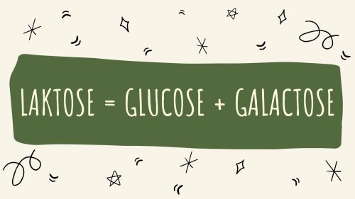 glucose galactose