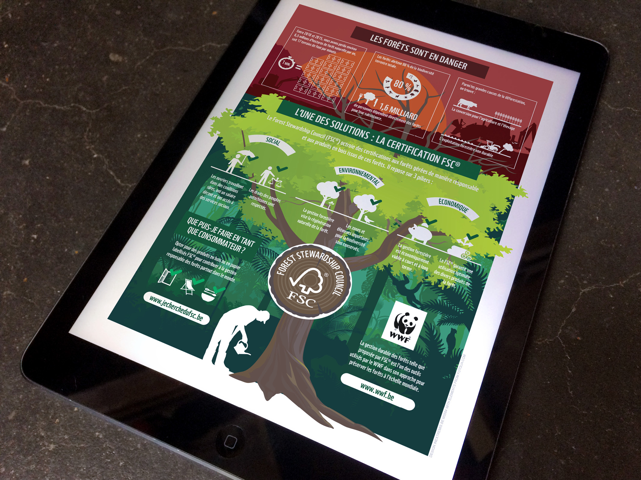 Infographie sur la certification FSC pour le WWF (2018)