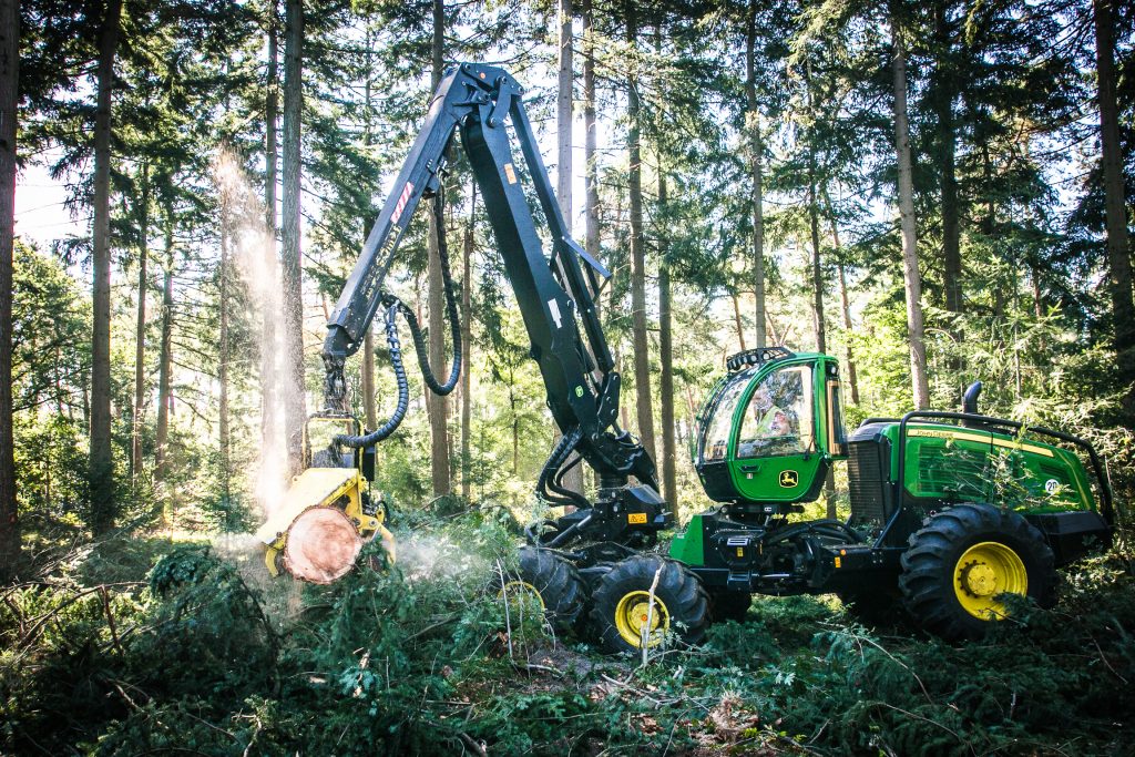 Houtoogst, Staatsbosbeheer, Fotograaf, Storytelling