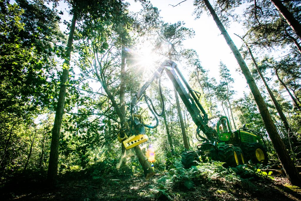 Houtoogst, Staatsbosbeheer, Fotograaf, Storytelling