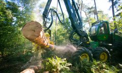 Houtoogst Staatsbosbeheer Fotograaf houtoogst Storytelling