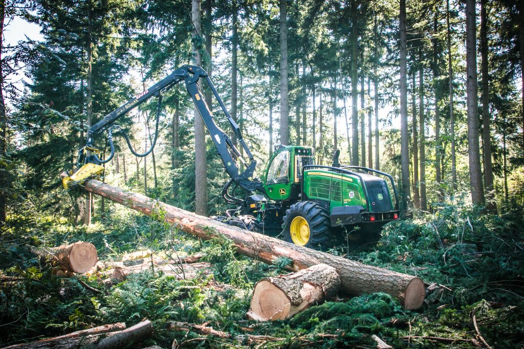 Houtoogst, Staatsbosbeheer, Fotograaf, Storytelling