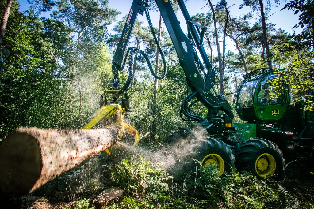 Houtoogst, Staatsbosbeheer, Fotograaf, Storytelling