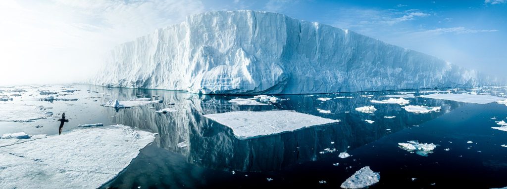 MAPITO Stock Videos Polars Antarctica and High Arctic Wildlife & Nature.