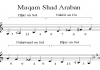 how the future of Maqam music might unfold within the Iraqi community in Mississauga, Canada? Maqam