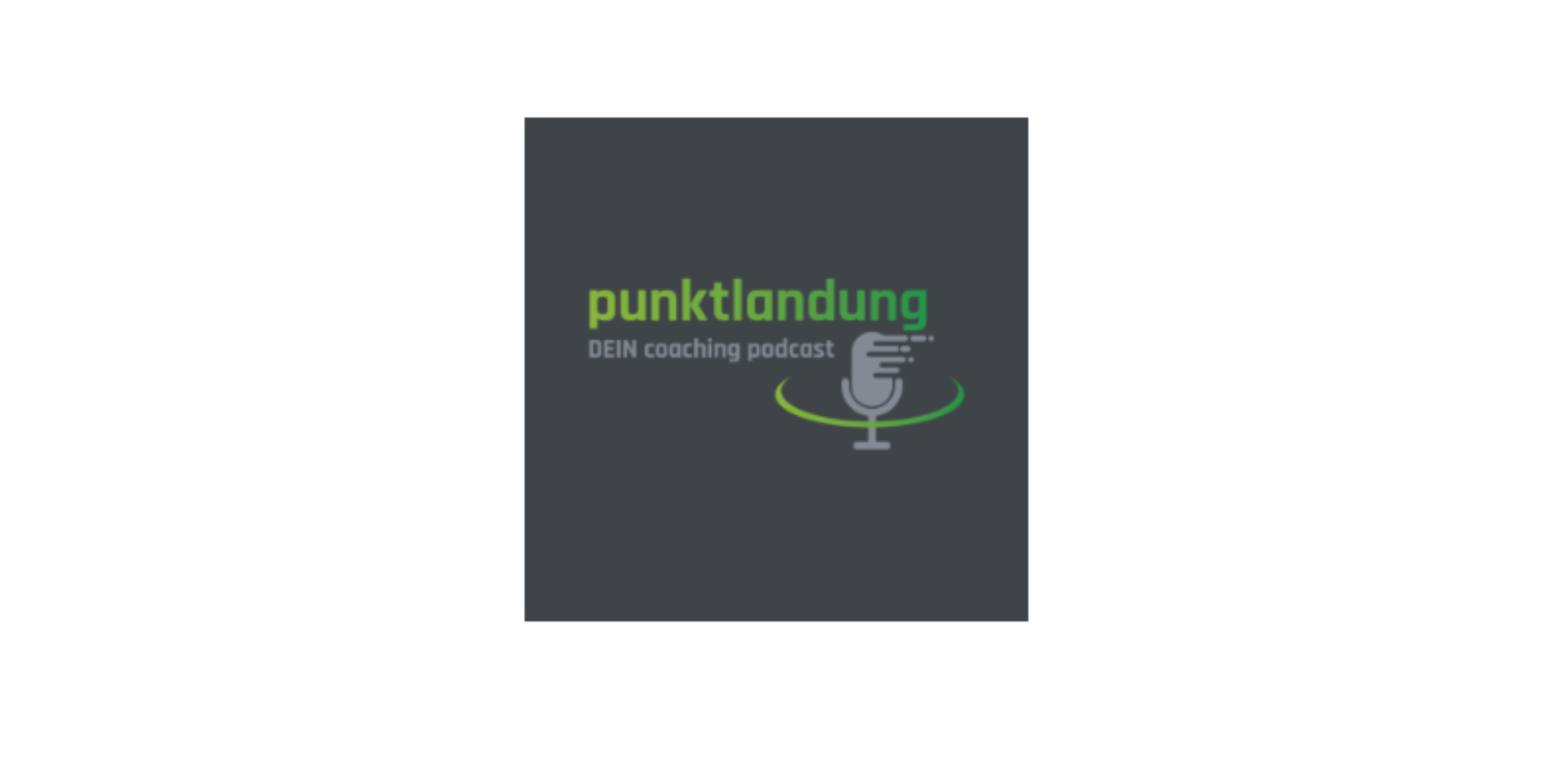 Punktlandung Podcast