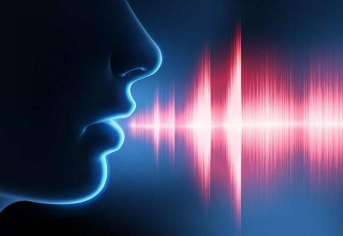 Voice_marbella_production2 Voice_marbella_production2