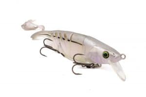 Shiny-Whitefish-Culry-Surface-Mard-Reap-front