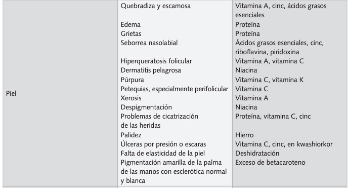 nutrir la piel tabla