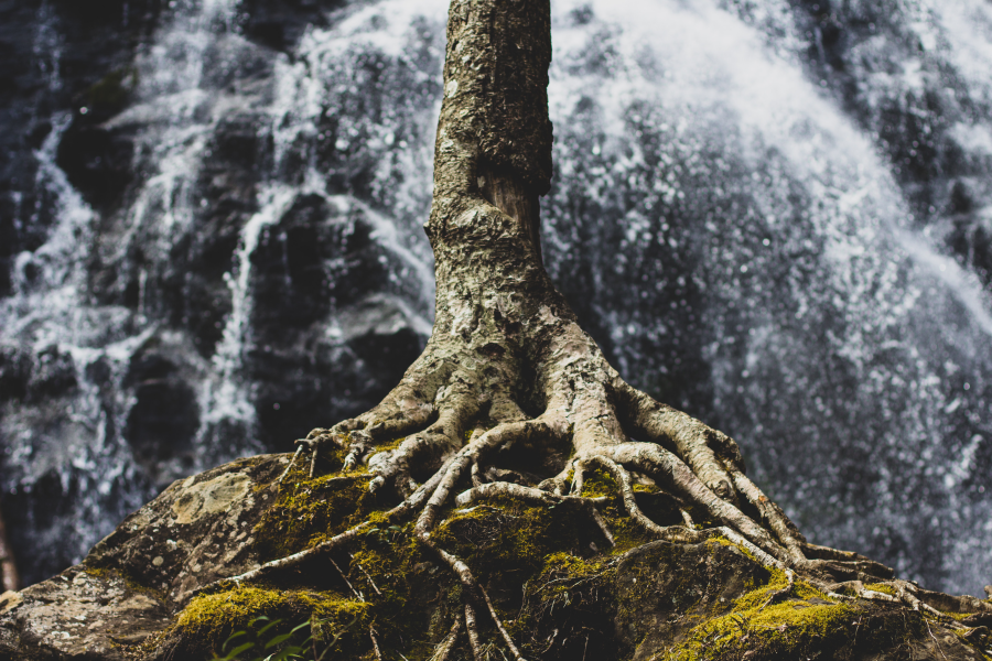 unsplash zach-reiner-hW11fwjzVfA-