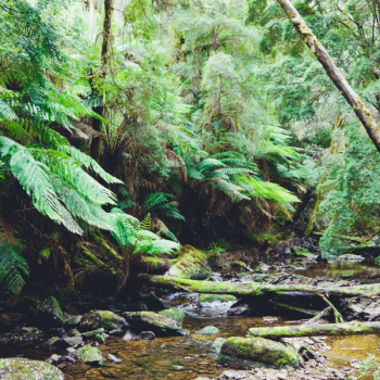 unsplash kate-stone-matheson-gY4qs05tHWo-
