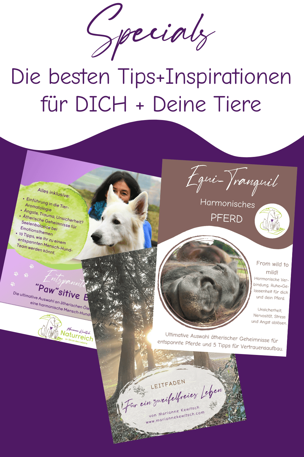 Werbung-Freebies-ohne-button-1
