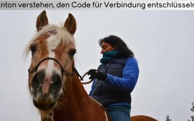 Geschichten von Lebenshof: Anton verstehen, den Code für Verbindung entschlüsseln
