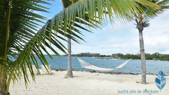 vakantiegevoel palmboom hangmat strand