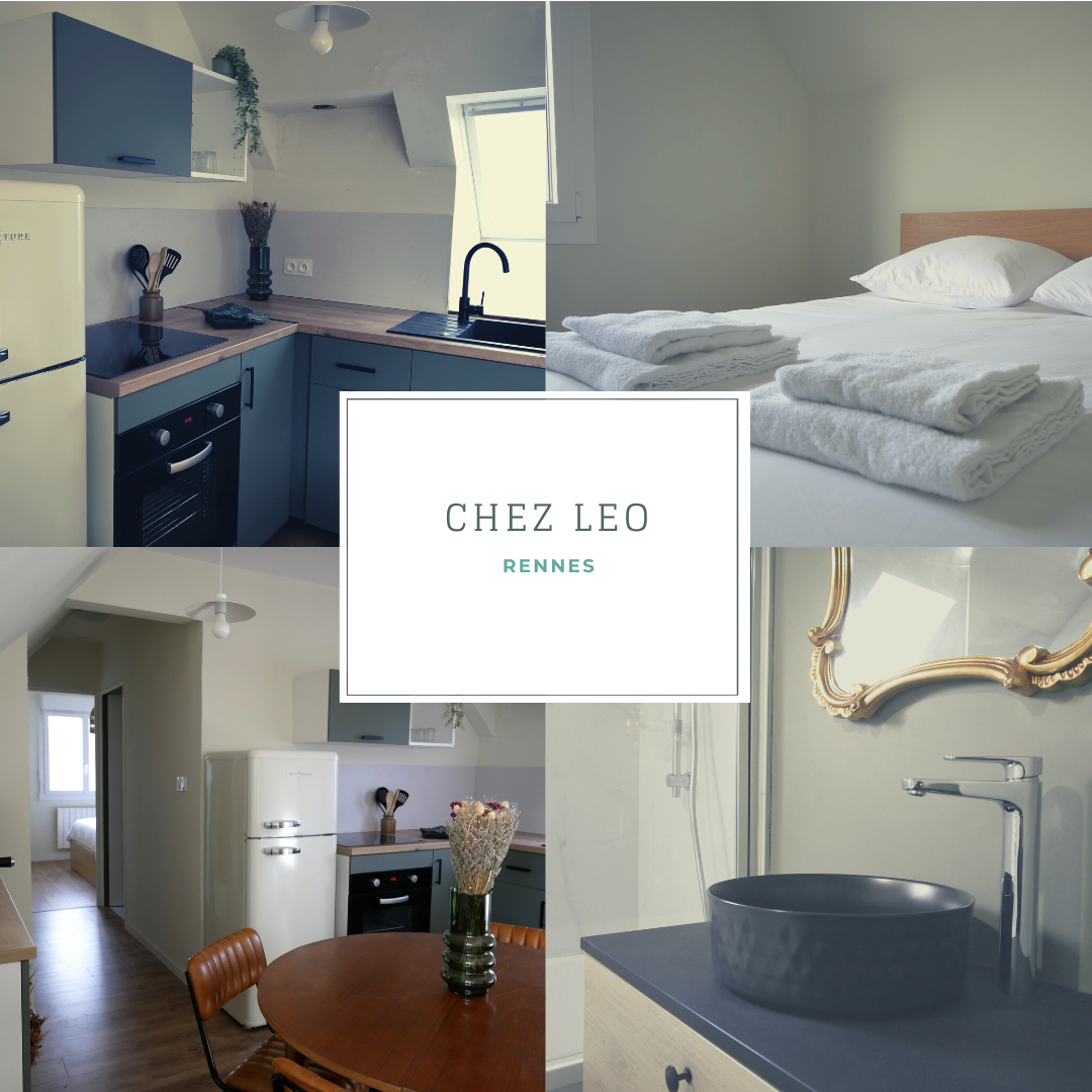 appartement airbnb rennes