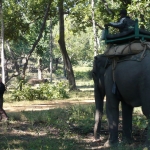 Andy and the Elephant