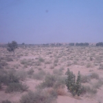 The view from the train when we woke up