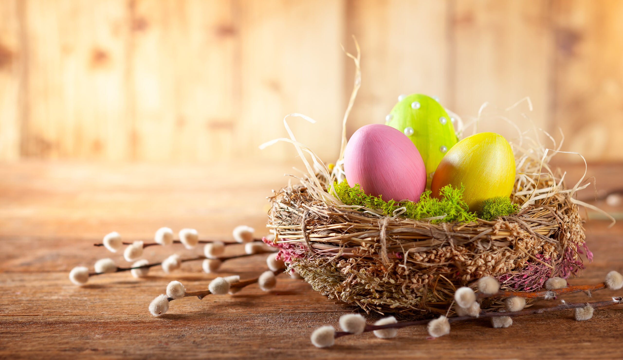 Osternest mit bunten Eiern