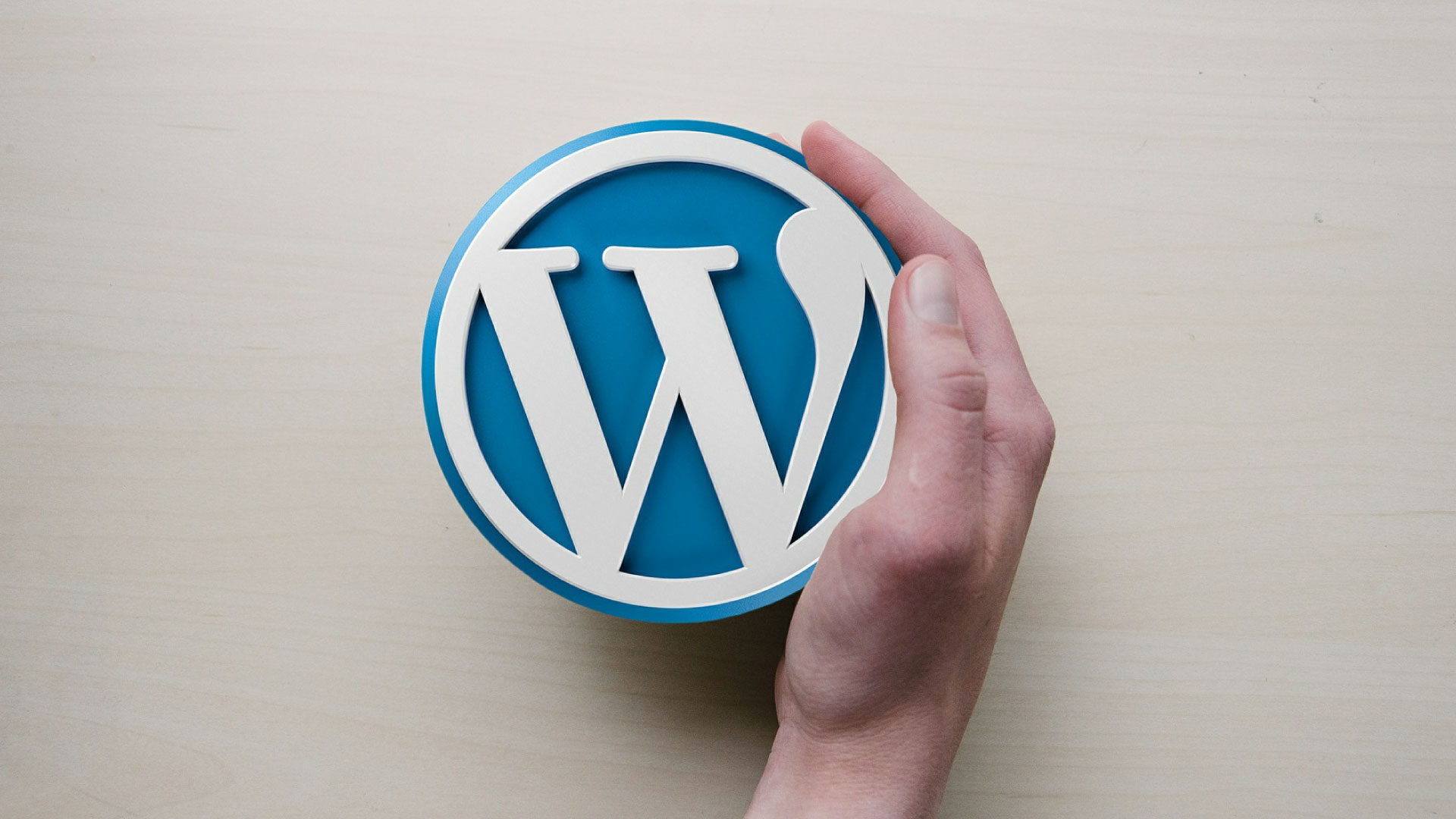Wordpress Logo an dem außen eine Männerhand aufliegt.