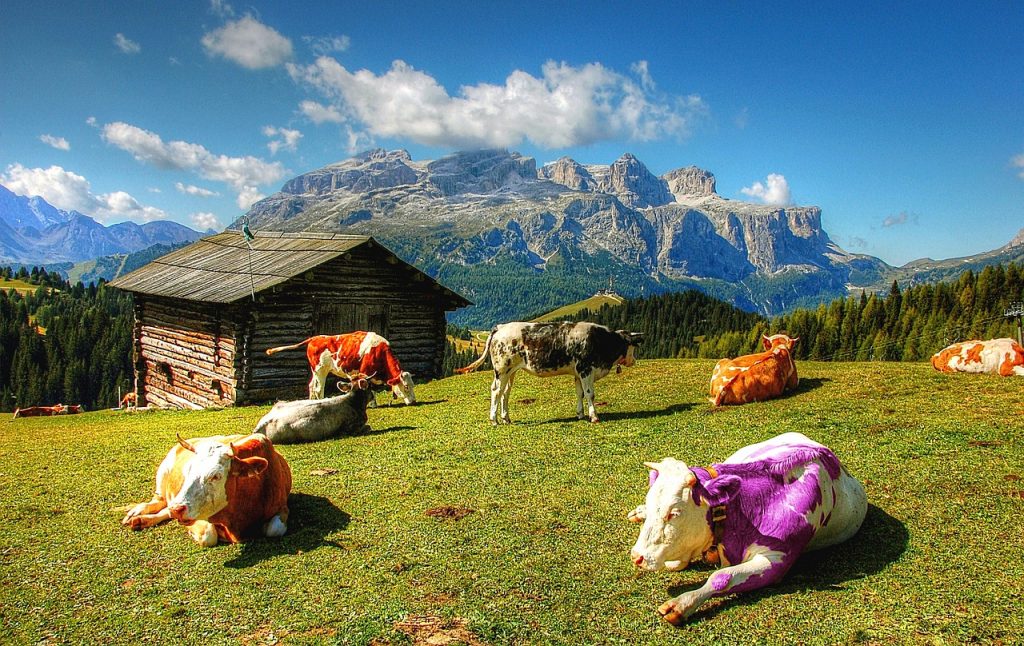 Purple Cow Marketing Psycho purple-cow