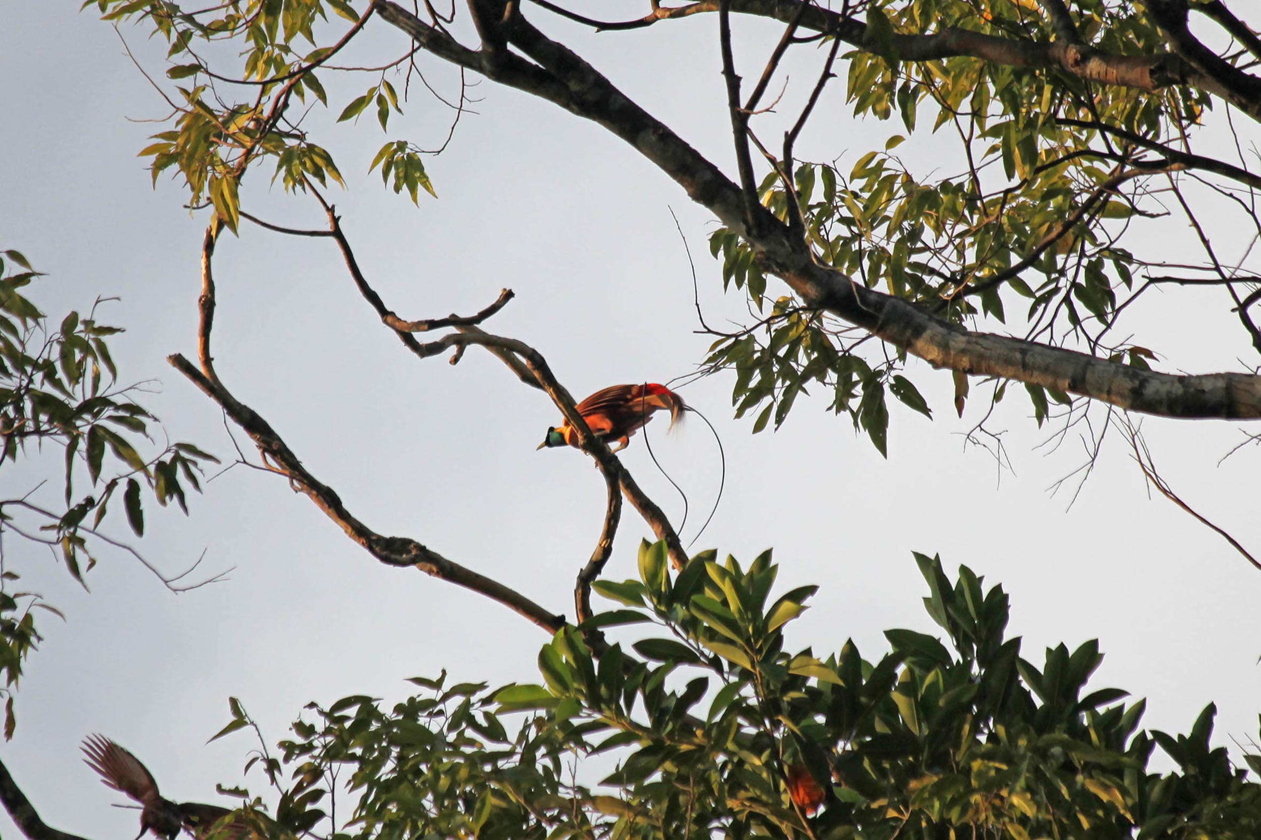 IMG_4338 2 export