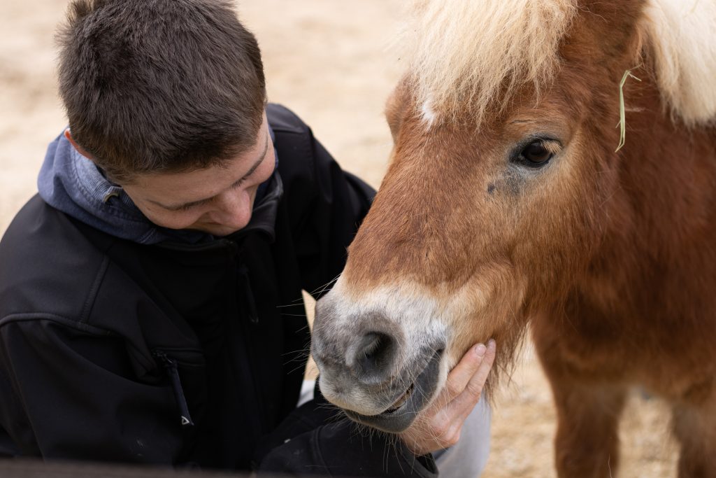 Pony Bob