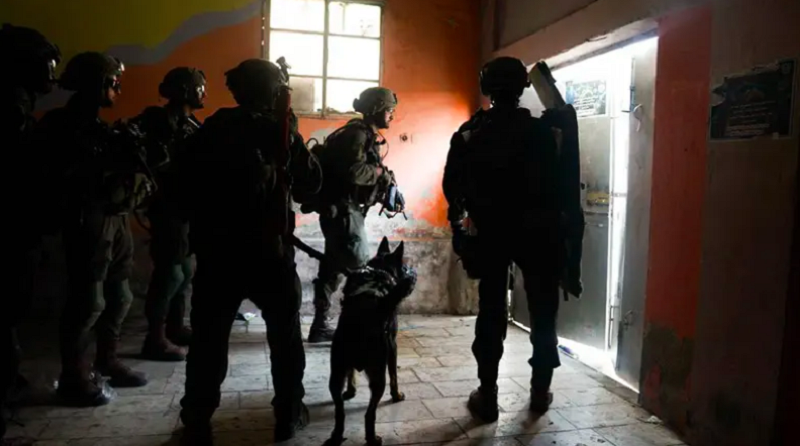 Gaza: L’unité canine de l’armée israélienne dupée par Hamas