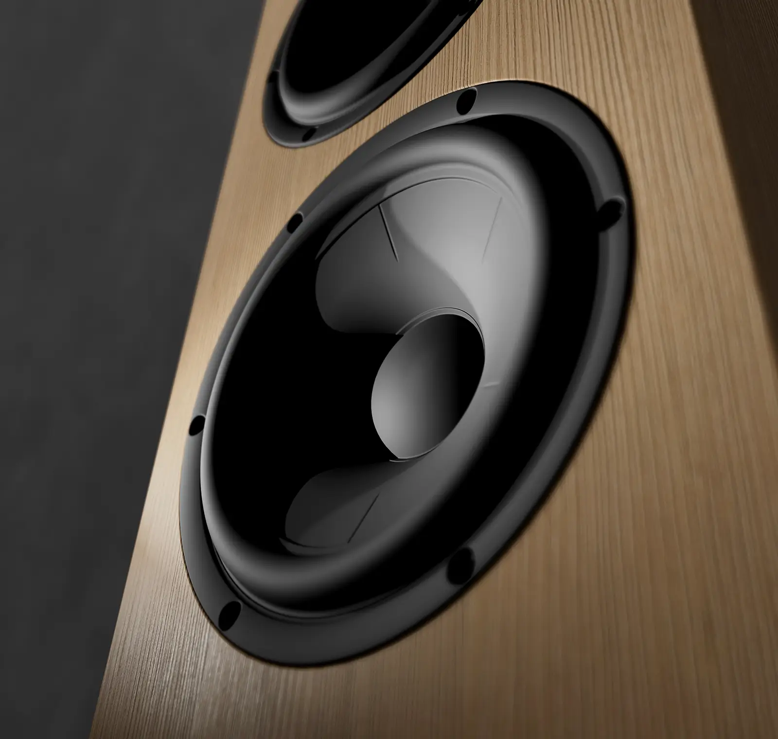 Ceramic mid/bass
