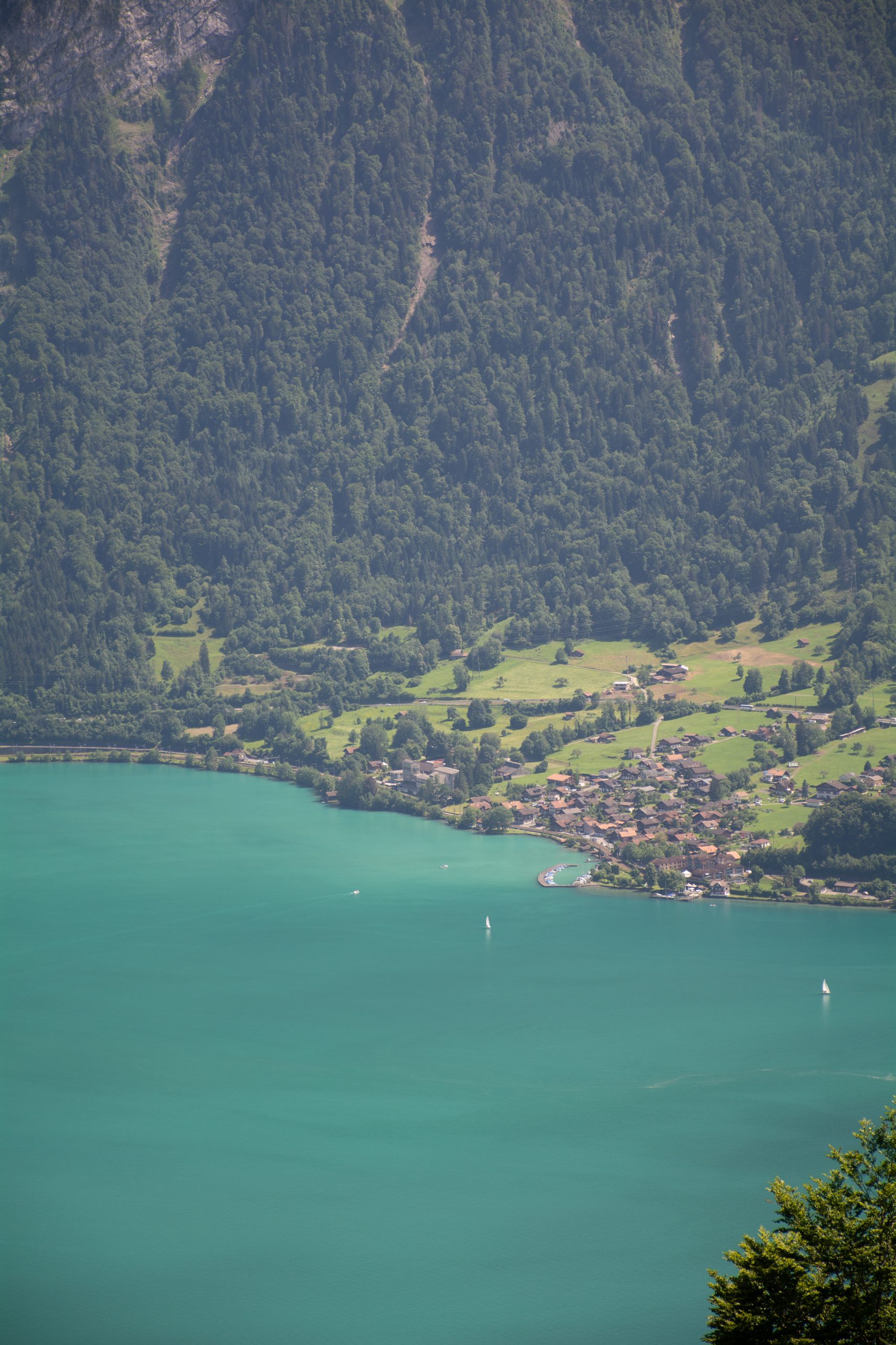 Enjoying a peaceful walk through Interlaken, known for its stunning views of lakes and mountains. A must-visit destination for any traveler.