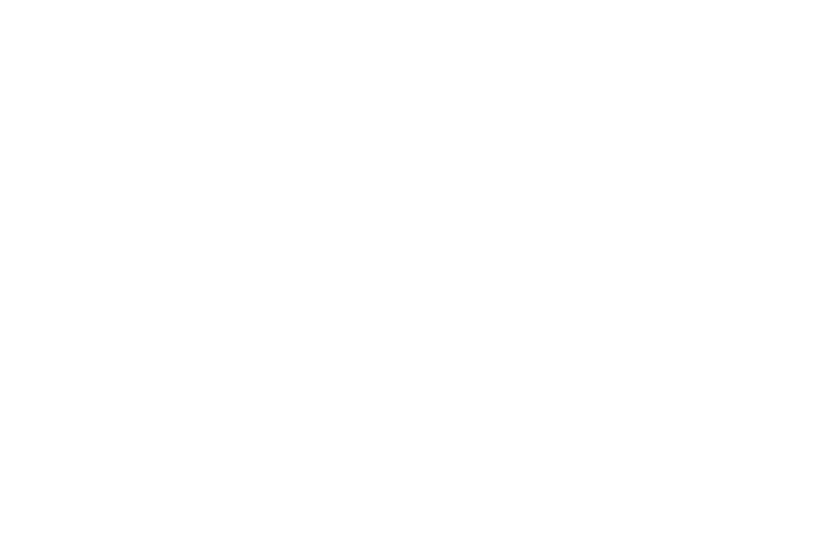 Paris Int'l Film Festival Laurel