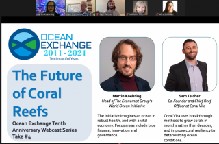 Speaking about coral reefs at Ocean Exchange webinar