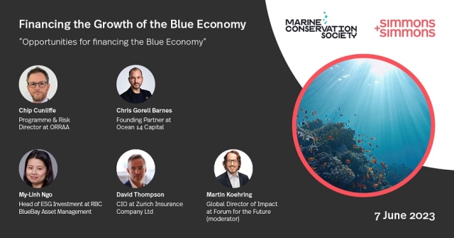 Moderating panel on blue finance