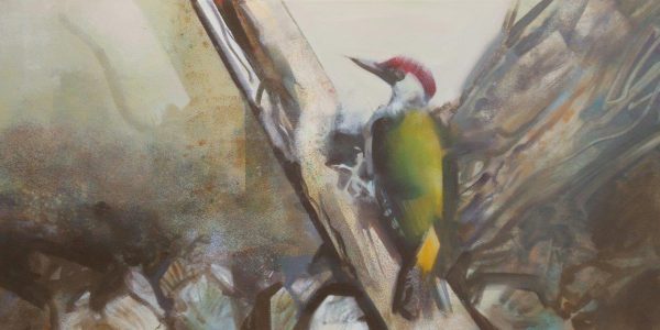 'Green Woodpecker' 40x60 cm acrylics on canvas VERKOCHT