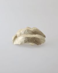 Juliane Brandes, Gegenwart, 2017, brooch