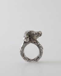 Juliane Brandes, Proteus, 2019, ring