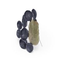 Iris Bodemer, Entfaltungen (Unfoldings), 2024, brooch