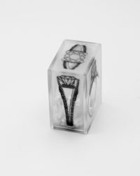 Jinjin Zhang, The Real Ring III, 2025