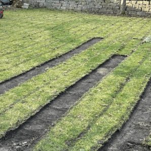 Gartenbau, Rollrasen verlegen, Rasen entfernen