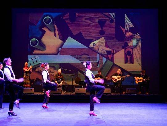 Flamencoles Den Haag middenniveau dinsdag 19.00 – 20.00 uur