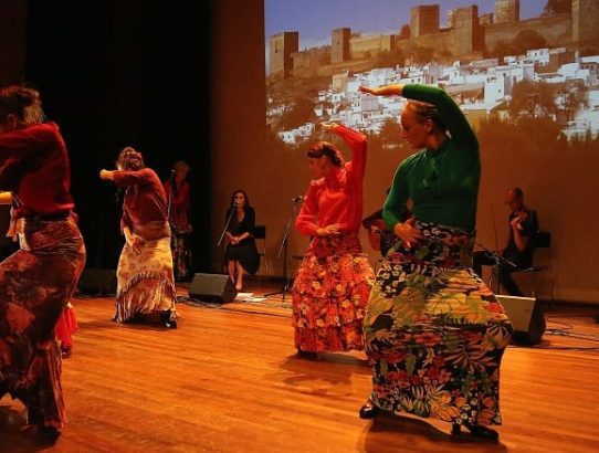 Flamencoles (ver)gevorderd Utrecht Donderdag 20:15 – 21:30