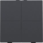 Toets 2-voudig voor busdrukknop of RF-wandzender, antraciet