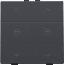 Home Control 2-voudige bediening motorsturing met 6-voudige toets, antraciet