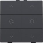 Home Control 2-voudige bediening dimmer met 6-voudige toets, antraciet