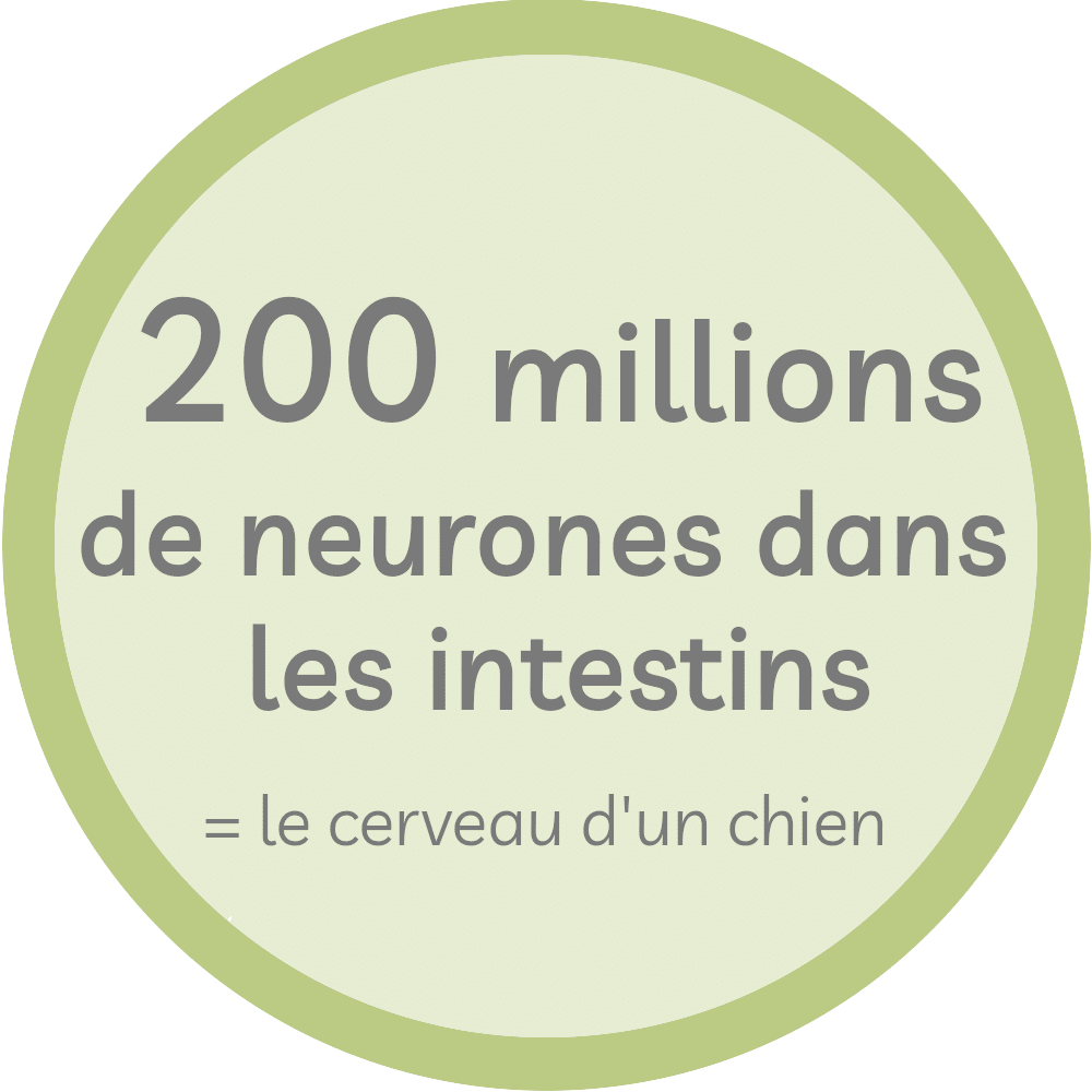 burnout, stress, fatigue, émotion, colère, énervé, boulot, job, difficile, question, douleur, maladie, symptôme, bien-être, sérénité, apaisé, sourire, humeur, sommeil