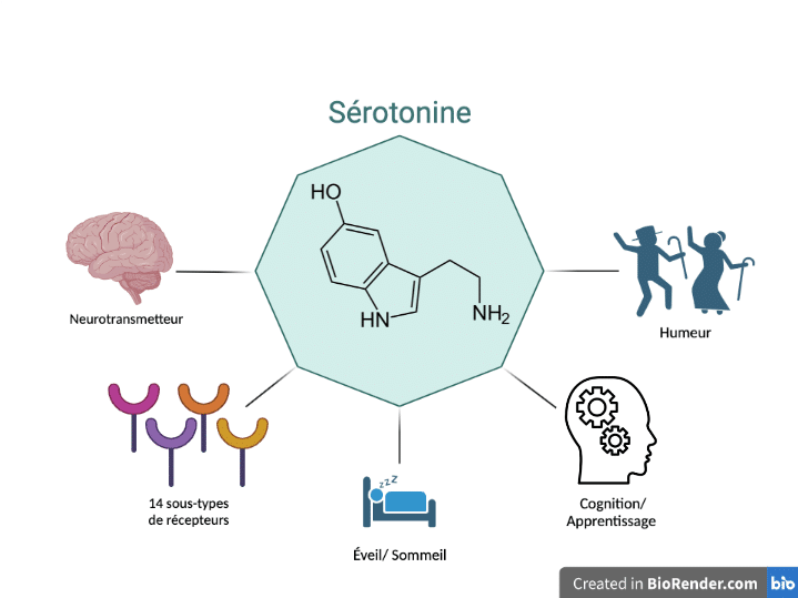 burnout, stress, fatigue, émotion, colère, énervé, boulot, job, difficile, question, douleur, maladie, symptôme, bien-être, sérénité, apaisé, sourire, humeur, sommeil