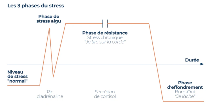 massage, média, détente, huile, pieds, jambes, lourd, circulation, assouplissement, ventre, organe, émotion, corps, adapté, massothérapeute, burnout, stress, fatigue, douleur, maladie, symptôme, bien-être, sérénité, apaisé, sourire, humeur, sommeil, praticien, thérapeute, personne, individu, détente, relaxation, repos, digestion, soins, rendez-vous, endométriose, adénomyose, Bruxelles, Waterloo