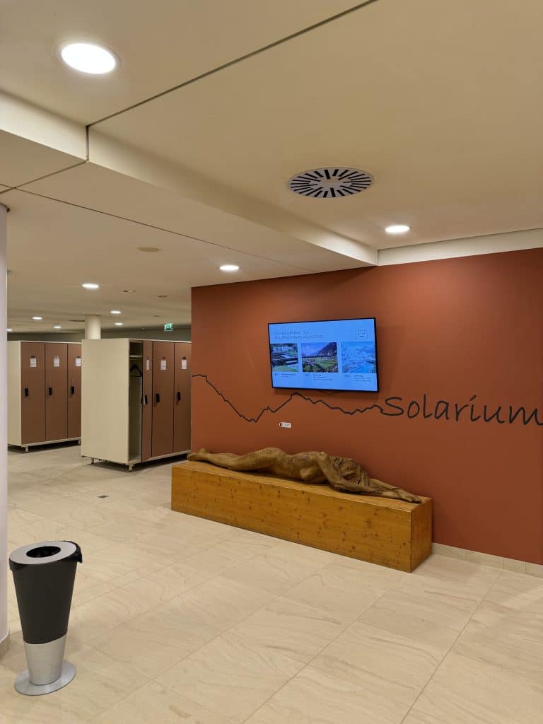 A wooden artwork downstairs in the changing rooms of Aqua Dome Therme Längenfeld which depicts a naked lady lying on her side on a wooden bench. This against a brownish-orange wall with the text solarium.