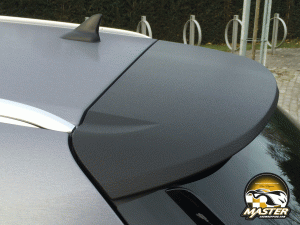 LEATHER_SPOILER