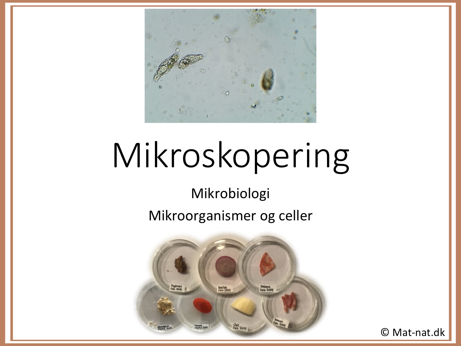 Mikroskopering – mikrobiologi – mikroorganismer – PowerPoint lærer